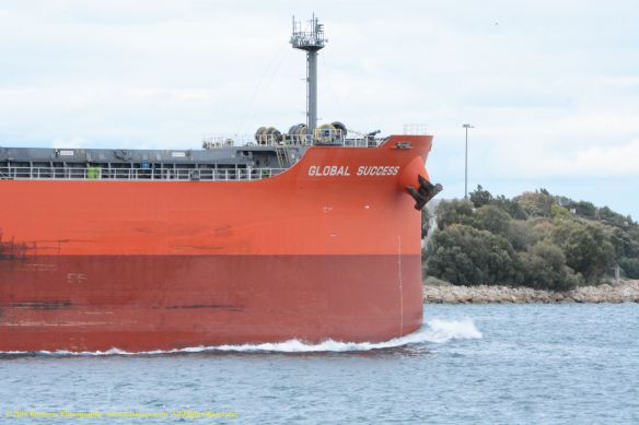 MV GLOBAL SUCCESS 10