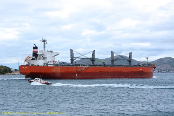 MV GLOBAL SUCCESS 12