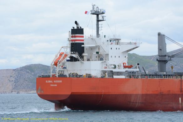 MV GLOBAL SUCCESS 7