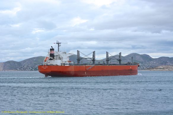 MV GLOBAL SUCCESS 9