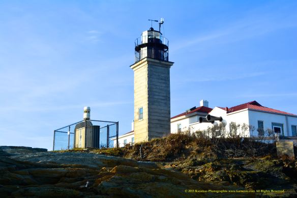 Lighthouse Beavertail 7