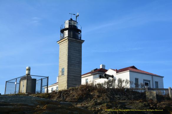 Lighthouse Beavertail 8