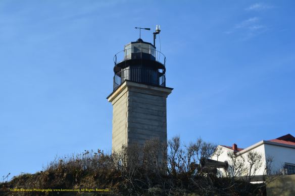 Lighthouse Beavertail 9