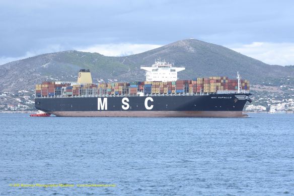 MV MSC PARALLO 1