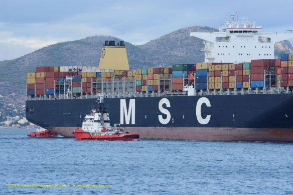 MV MSC PARALLO 4