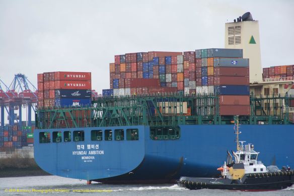 MV HYUNDAI AMBITION 11