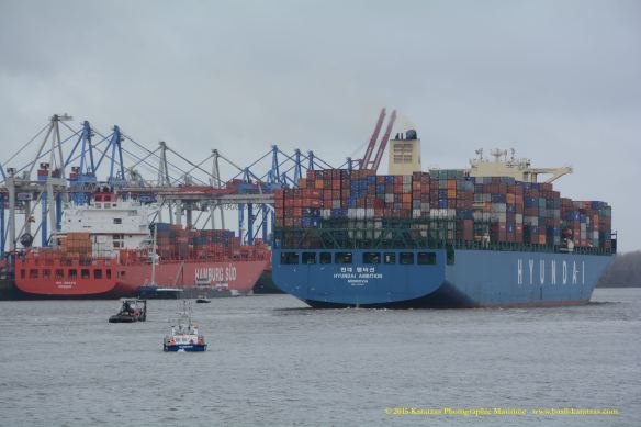 MV HYUNDAI AMBITION 13