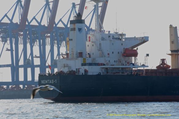 MV NEMTAS-1 10