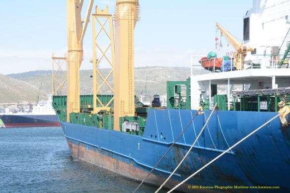MV HOLANDIA 12