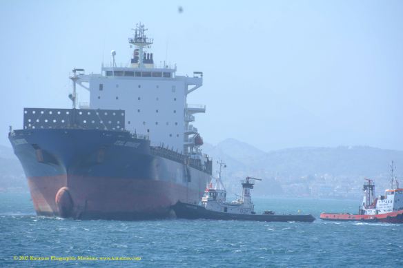 MV ITAL ORIENTE 6