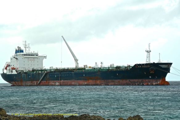 MT ELKA DELOS 1