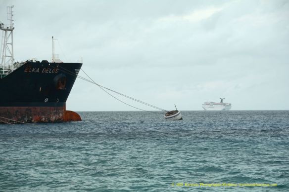 MT ELKA DELOS 12 W CARNIVAL PARADISE