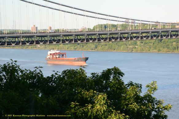 MV BALBOA PEARL 1 BMK_8198