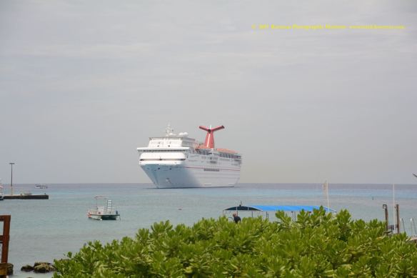 MV CARNIVAL PARADISE 1