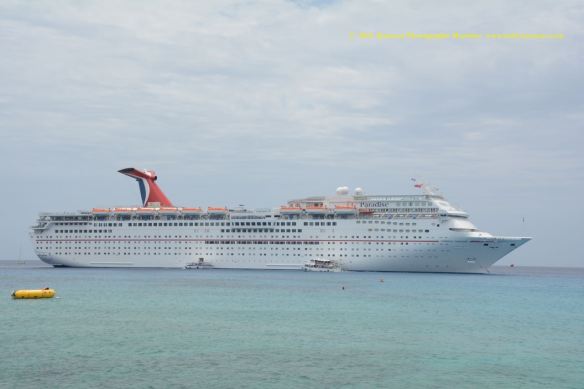 MV CARNIVAL PARADISE 11