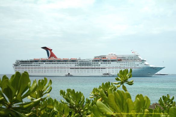 MV CARNIVAL PARADISE 12