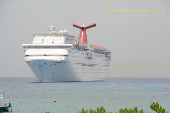 MV CARNIVAL PARADISE 2