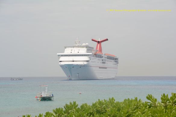 MV CARNIVAL PARADISE 3