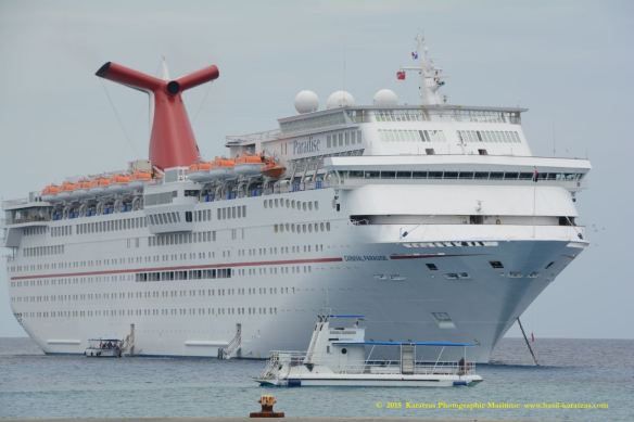 MV CARNIVAL PARADISE 5