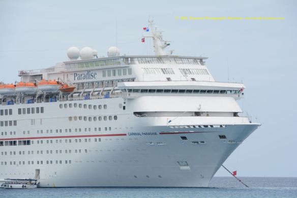 MV CARNIVAL PARADISE 6