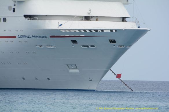 MV CARNIVAL PARADISE 7