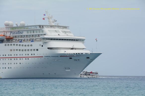 MV CARNIVAL PARADISE 8