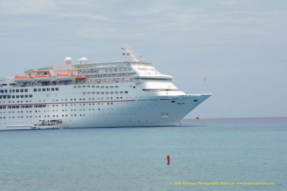 MV CARNIVAL PARADISE 9