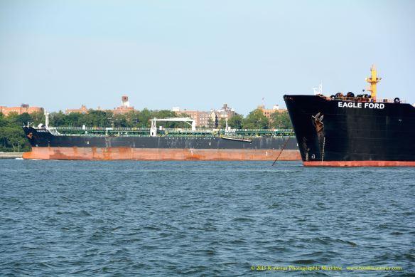 MT ORWELL 12 w EAGLE FORD