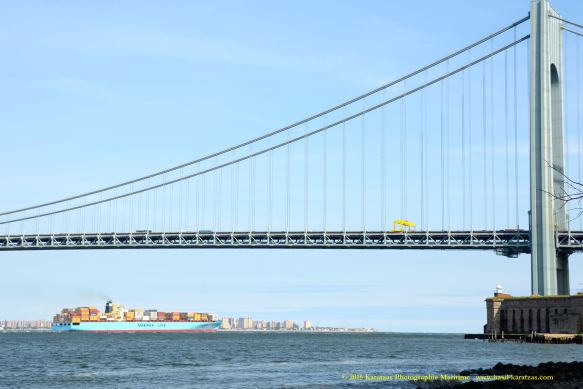 MV SEALAND WASHINGTON 11