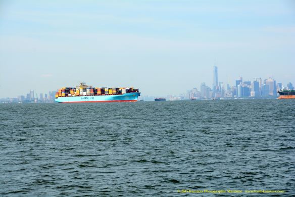 MV SEALAND WASHINGTON 4