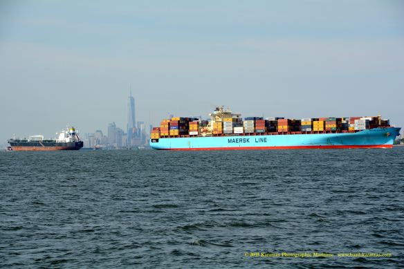 MV SEALAND WASHINGTON 6 w MT ORWELL