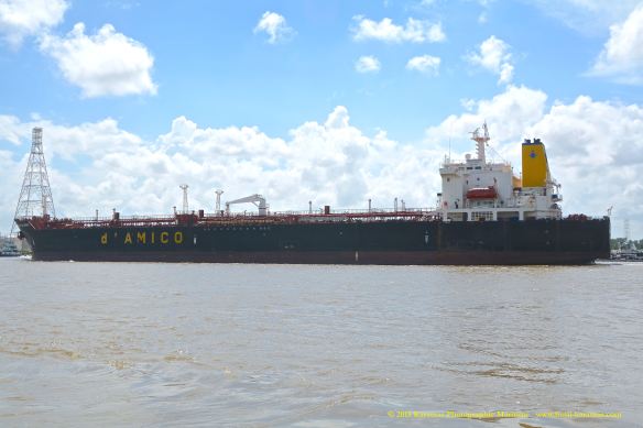 MT CIELO DI SALERNO 6