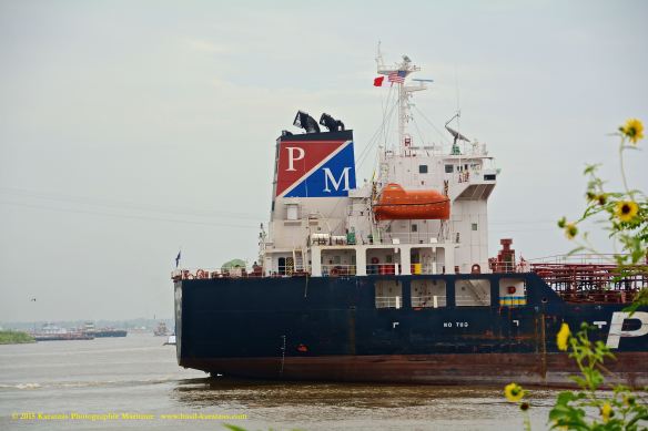 MT PRINCIMAR AMERICAS 10