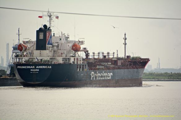 MT PRINCIMAR AMERICAS 12