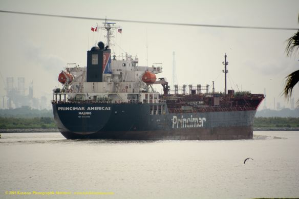 MT PRINCIMAR AMERICAS 13