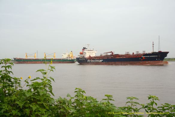 MT PRINCIMAR AMERICAS 6 W MV HARLEQUIN