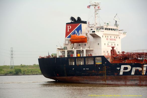 MT PRINCIMAR AMERICAS 8