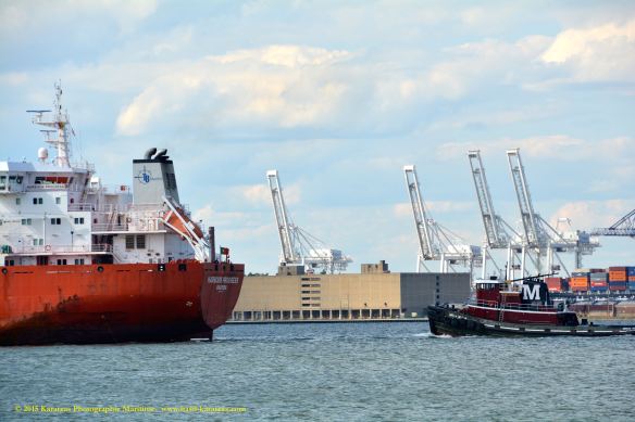 MT HARBOUR PROGRESS 11©