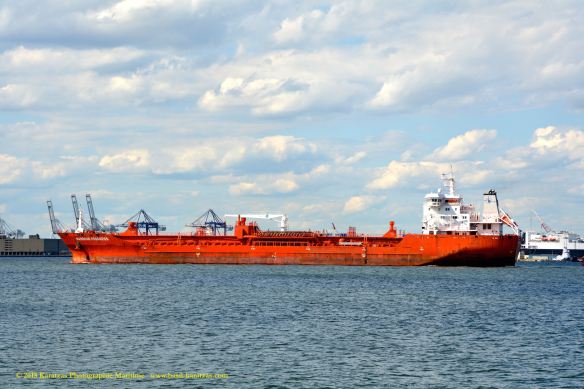 MT HARBOUR PROGRESS 12©