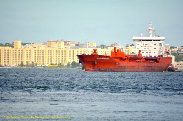 MT HARBOUR PROGRESS 1©