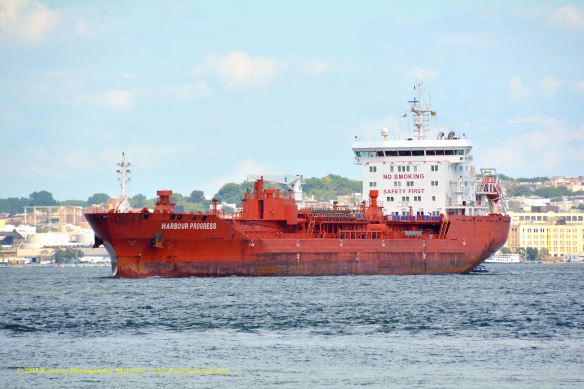 MT HARBOUR PROGRESS 2©