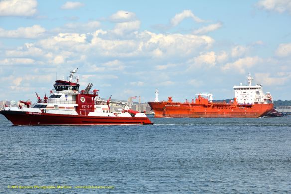 MT HARBOUR PROGRESS 4©