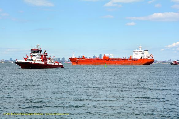 MT HARBOUR PROGRESS 6©