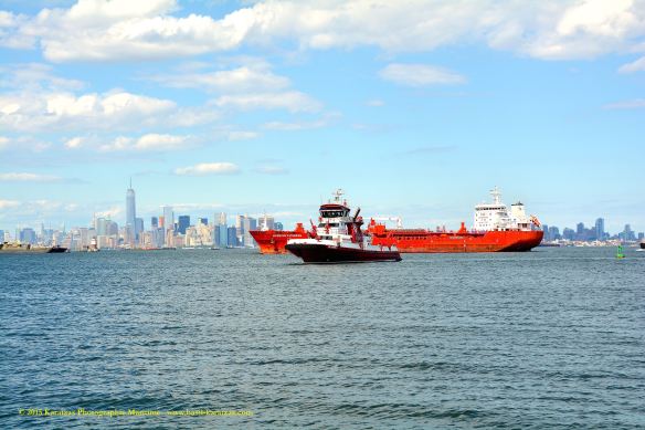 MT HARBOUR PROGRESS 7©