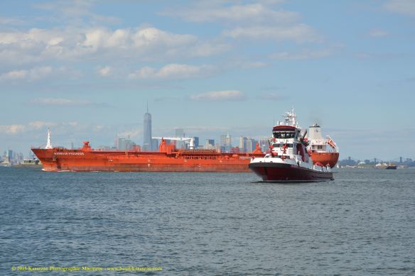 MT HARBOUR PROGRESS 8©