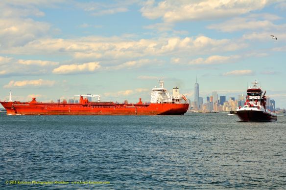 MT HARBOUR PROGRESS 9©