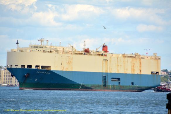 MV COUGAR ACE 1©