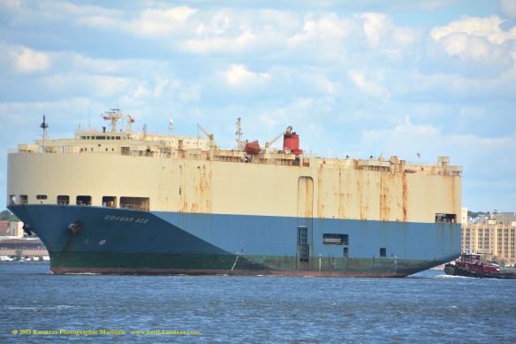 MV COUGAR ACE 2©