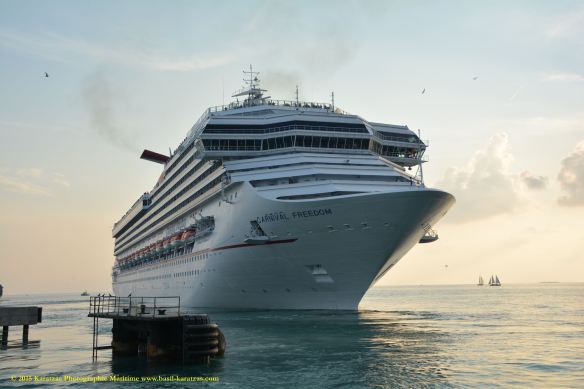 MV CARNIVAL FREEDOM 11@