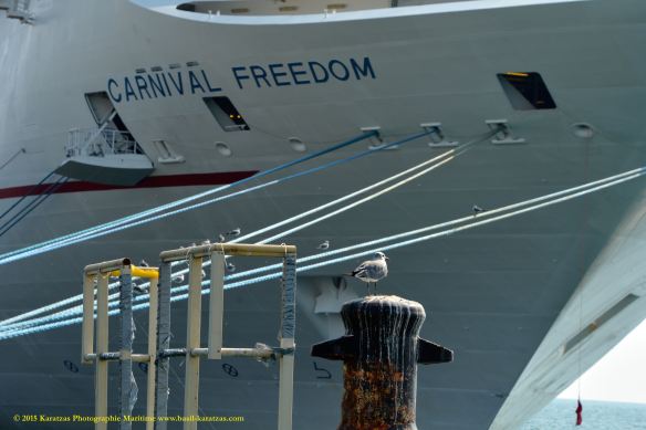 MV CARNIVAL FREEDOM 2@